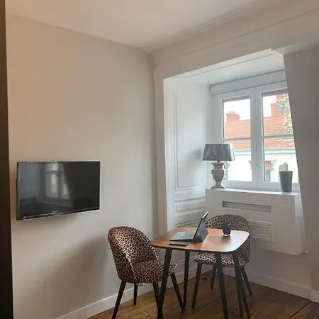 Celect'In Lyon Suites Climatisees Skyview Buitenkant foto